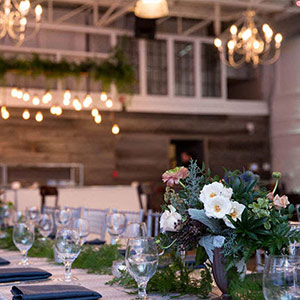 باغ تالار بهار picture