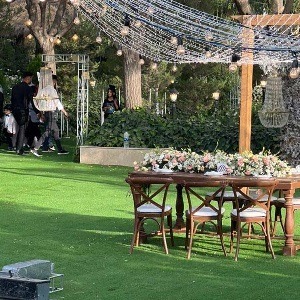 تالار عروسی ترانه picture