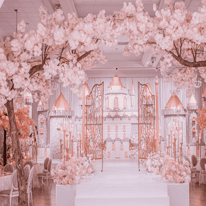 باغ تالار رویا picture