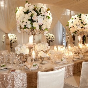 تالار ستاره شهر picture