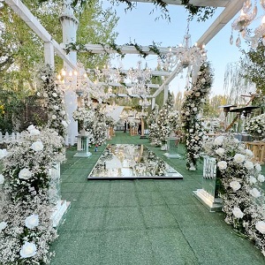 تالار محمودی picture